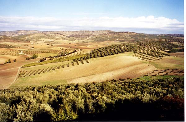 rural-003